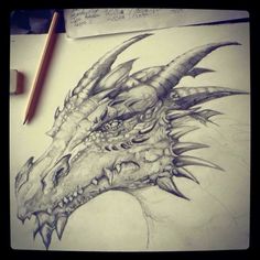 a pencil drawing of a dragon's head