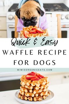 a pug dog sitting on top of waffles with the words quick and easy waffle recipe for dogs