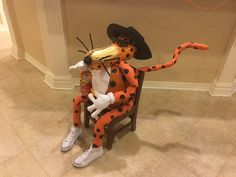 an orange and black cat sitting on top of a wooden chair