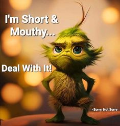 an image of a cartoon character saying i'm short & mouthy deal with it