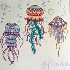 an image of three jellyfishs with bubbles on the water and name avaia