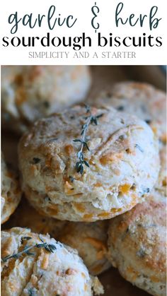 garlic and herb sourdough biscuits are the perfect appetizer for any occasion