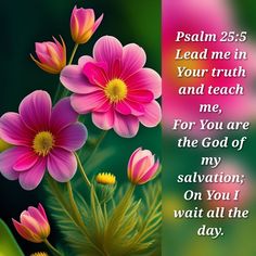 a pink flower with the words, jesus 25 5 lead me in your truth and teach me for you are my salvation on all the day