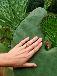 Ring handmade in Bronze 22K Gold Plated or Silver .925 with a Precious Stone. Adjustable. Size: 3x1.5cm Choose your stone ! - Ruby - Sapphire - Esmerald - Swarovski The Fleur de Cactus line is inspired by the desert and its mysteries. I vividly remember traveling through the vast deserts of my adored Mexico, gazing through rhe window at the incredible variety of cactus that somehow grow and flourish in such arid lands... The flowers that bloom from these resiliant plants always amazed me. At tim Stone Cactus, Cactus Ring, Cactus Jewelry, Ruby Sapphire, 22k Gold, Mexico City, Handmade Ring, Precious Stones, Silver 925