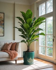 a large potted plant sitting on top of a wooden floor next to a couch