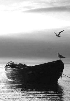 a black and white photo of a boat in the water with seagulls flying over it