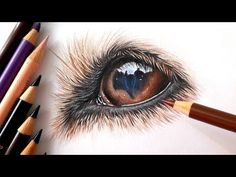 an animal's eye is drawn with colored pencils