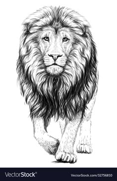 a black and white drawing of a lion