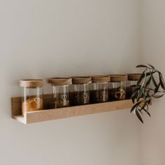 a wooden shelf with spice jars and a potted plant