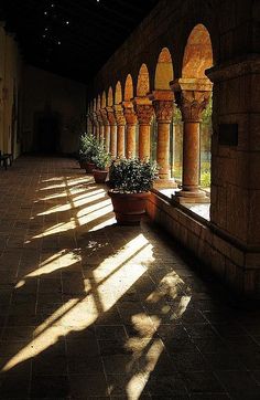 the sun shines through an arched window into a building with columns and potted plants