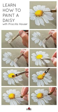 how to paint daisies with pirscilla houser - step by step instructions