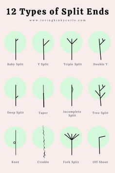 How can you tell if you have split ends? Do you know the different types? Split End Hair Mask, Olive Oil Hair Mask, Hair Mask For Dandruff, Banana Hair Mask, Aloe Vera Hair Mask, Split Ends Hair, Split End, Best Hair Mask, Coconut Oil Hair Mask