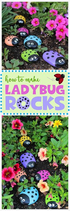 lady bug rocks in the garden with flowers