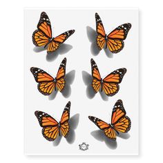 six orange monarch butterflies on white background