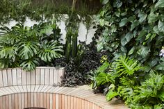 a wooden bench sitting next to a lush green plant filled wall in the middle of a garden