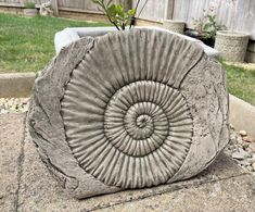 a large rock with a plant growing out of it's center, sitting in the middle of a yard