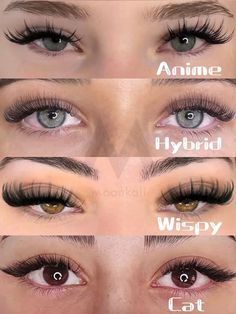 Different Lash Styles, Anime Hybrid, Membentuk Alis, Wispy Eyelashes, Nose Makeup, Eyelash Technician, Lash Extensions Styles