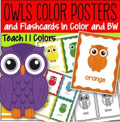 owls color posters and flashcards in color and bw for teachers to learn colors