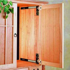 a wooden cabinet with two doors open and a plant growing out of the bottom drawer