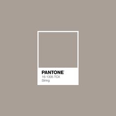 pantone's gray and white color scheme with the text, ` pantone '