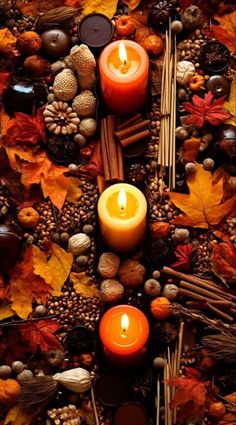 two candles are surrounded by autumn leaves and pine cones