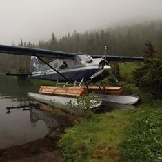 an airplane sitting on top of a body of water next to a forest filled with trees