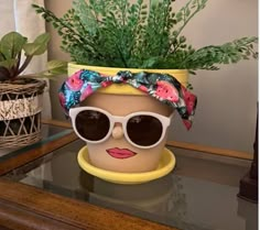 a potted plant with sunglasses and a headband on top of a glass table