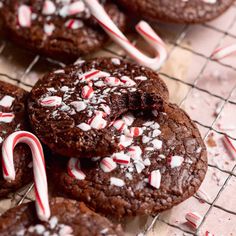 chocolate cookies with candy canes on a cooling rack, ready to be eaten for christmas