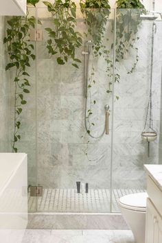 12 Minimalist Bathroom Ideas to Inspire You Design Interior Baie, Marble Shower Tile, Shower Renovation, Natural Showers, Marble Showers, Plants Growing, Bad Inspiration