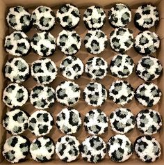 black and white decorated cupcakes in a box