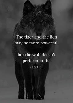 a black wolf standing on top of a snow covered ground next to a quote that reads, the tiger and the lion may be more powerful, but the wolf doesn't perform in the circus