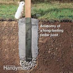 an animal is sitting on top of a post in the ground next to some dirt