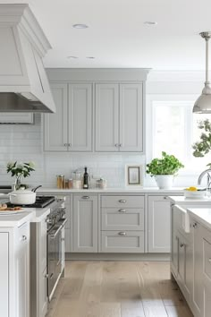 a large kitchen with white cabinets and wood floors is pictured in this image, there are plants on the counter