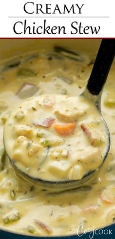 creamy chicken stew in a pot with a ladle