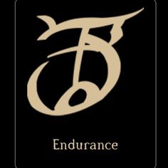 an image of the endurance logo on a black background with white letters in it