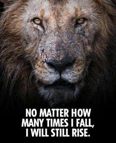 a lion with the words no matter how many times i fall, i will still rise