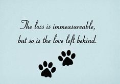 the loss is immovableable, but so is the love left behind paw prints