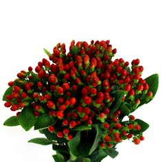 a vase filled with red flowers and green leaves