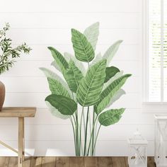 a large green plant sitting on top of a wooden table next to a white wall