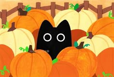 a black cat peeking out from between pumpkins