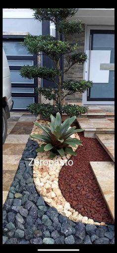 a small tree sitting in the middle of a stone garden bed next to a car