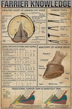 an old poster with instructions on how to use shears for shoes and footwear