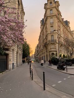 an empty city street with tall buildings and pink flowers on trees in the foreground