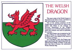 an image of a red dragon emblem on a green and white shield with the words, the welsh dragon