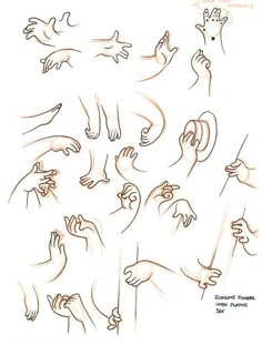 an image of hand gestures drawn in pencil