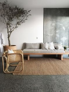 a living room with a couch, coffee table and potted tree