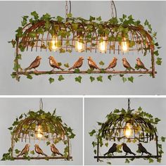 four different views of birds in a birdcage hanging from the ceiling, with light bulbs above them