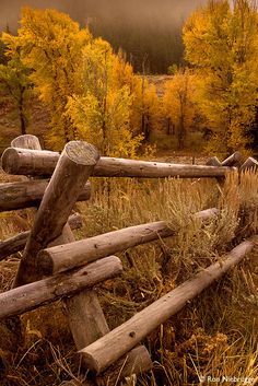 a wooden fence in the middle of a forest with yellow trees and clouds behind it