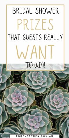 succulents with the words bridal shower prizes that guests really want to win