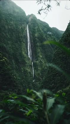 a large waterfall in the middle of a lush green forest